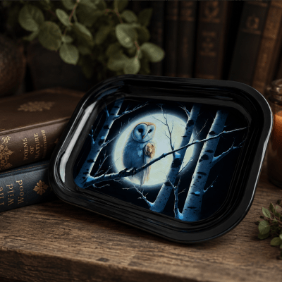 Barn Owl Moon Flat Metal Tray
