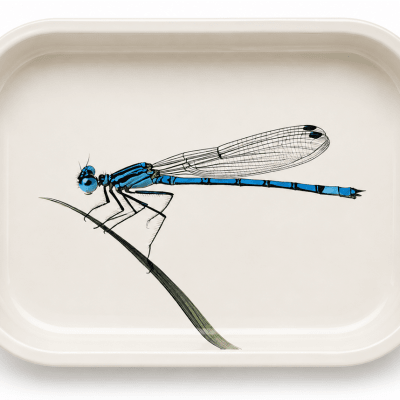 Blue Damselfly Metal Tray