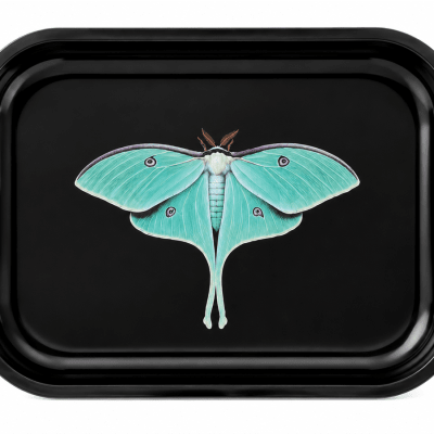 Luna Moth Solo Metal Tray