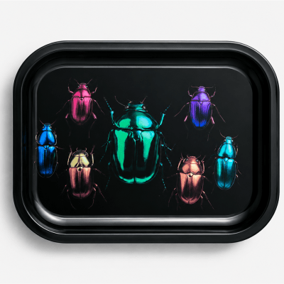 Irridescent Beetles 1 Metal Tray