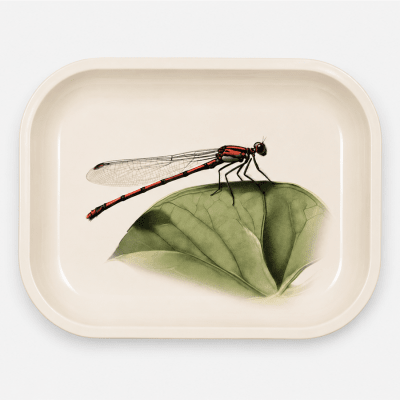 Red Damselfly Metal Tray