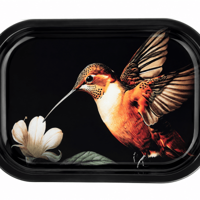 Rufous Hummingbird Metal Tray