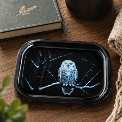 Snowy Owl Metal Tray