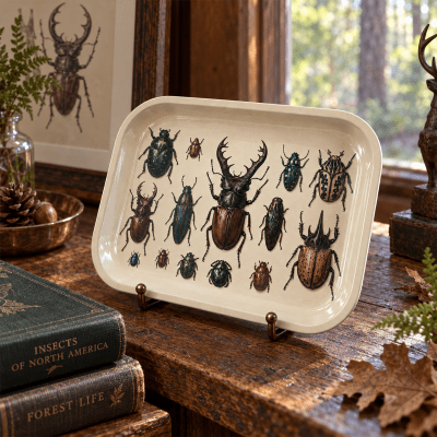 Victorian Beetle Cabinet Metal Tray