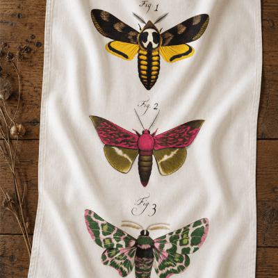 Vintage Moth Flour Sack Tea Towel