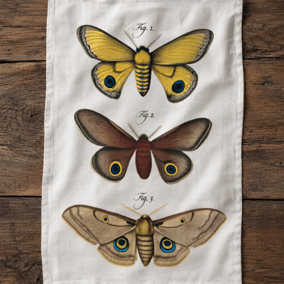 Vintage Moth Flour Sack Tea Towel