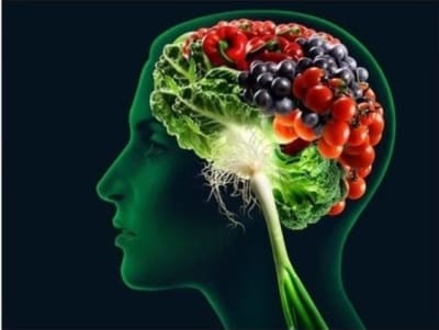 Brain Food