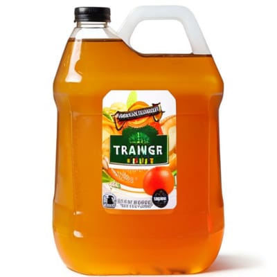 Iced Ginger Ale