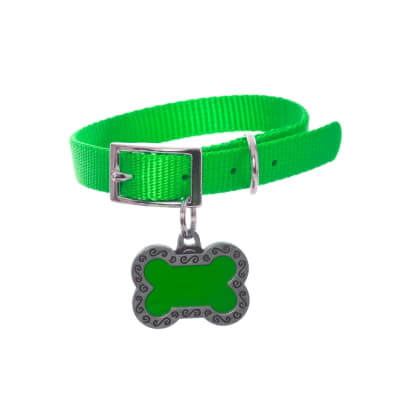 Dog Collar