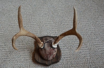 Antler Mounting Kit