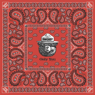 Smokey Paisley Bandana