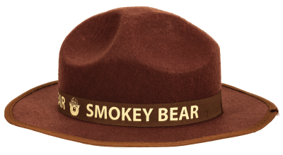 Smokey Bear Ranger Hat