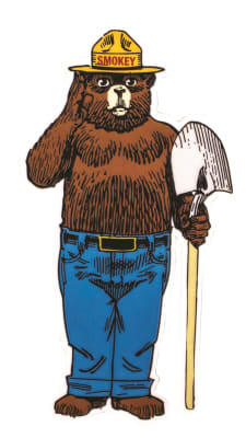Smokey Bear Die Cut Sticker