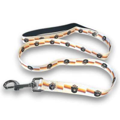 Smokey Bear Dog Leash