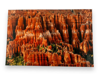 Bryce Canyon "Labyrinth" 13x19 Metal Print