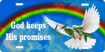 God keeps His promises personalized novelty license plate decorative vanity front car tag