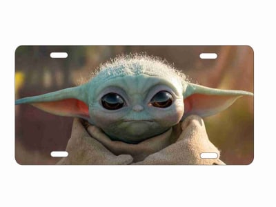 the child novelty license plate decorative vanity aluminum sign