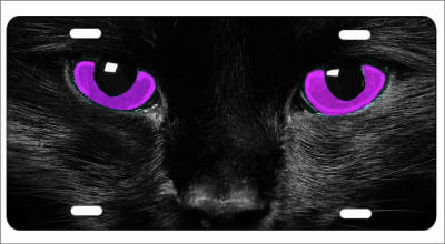 cat eyes Purple personalized novelty license plate