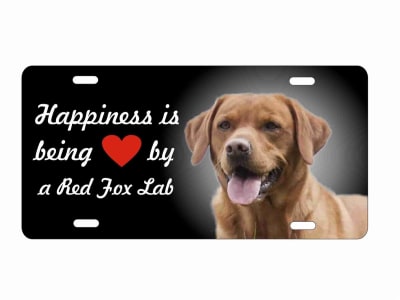 novelty license plate Red Fox Lab