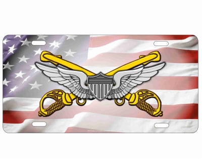 US cavalry Airman wings Custom License Plates, Personalized License Plates, Decorative License Plates, Front License Plates, Car Tags, airbrush