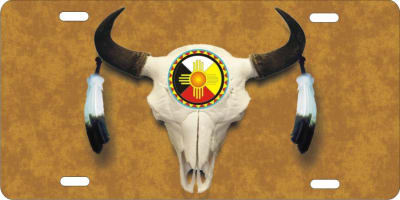 personalized novelty license plate Native American Bison Buffalo Skull Custom License Plates, Personalized License Plates, Decorative License Plates, Front License Plates, Car Tags, airbrush