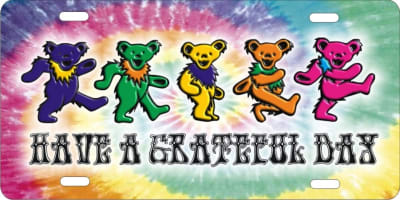 Have a Grateful Day personalized novelty front license plate Grateful Dead Decorative vanity car tag