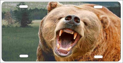 Grizzly Bear Roar Personalized Novelty Front License Plate Decorative Vanity Car Tag