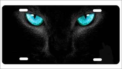 cats eyes custom license plate