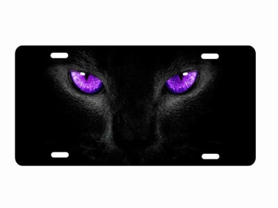 Panther eyes custom license plate