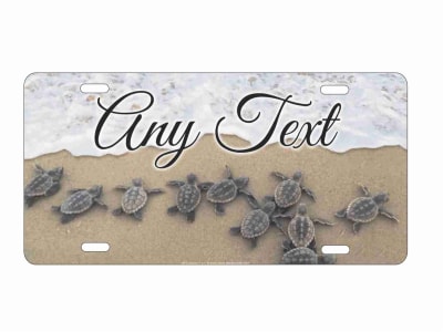 baby sea turtles hatching personalized novelty license plate Custom License Plates, Personalized License Plates, Decorative License Plates, Front License Plates, Car Tags, airbrush