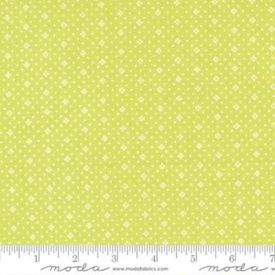 EYELET BASIC: Grass