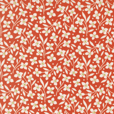 RED DAISIES  Backing Special