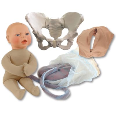 Childbirth Model Set