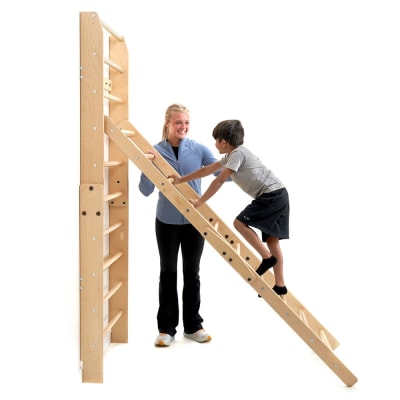In-FUN-ity Ladder Climbing Wall