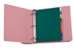 14 Tab Poly Standard Title Divider Set - LTC