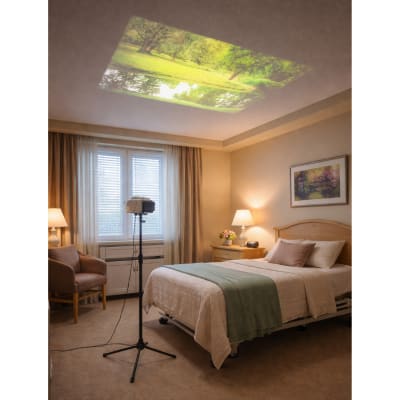 Sensory Vision Projector System