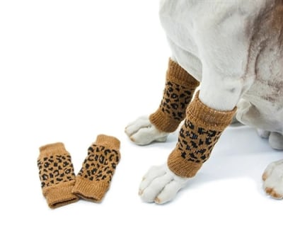 Dog Leg Warmers
