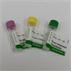 Cystatin C (Human) ELISA Set (3 x 15 plates)
