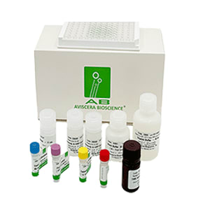 BDNF ELISA Kit Ultrasensitivity