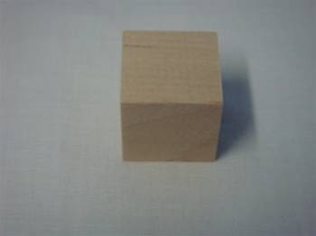 BLOCKS 1" X 1"