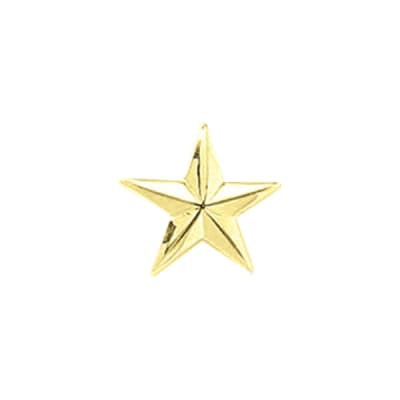 Blackinton 1 Star Pin