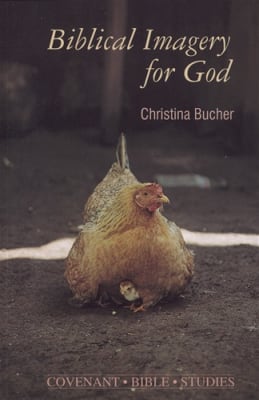 Biblical Imagery for God