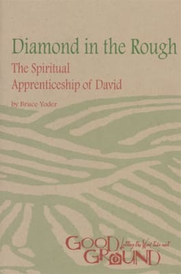 Diamond in the Rough: The Spiritual Apprenticeship of David