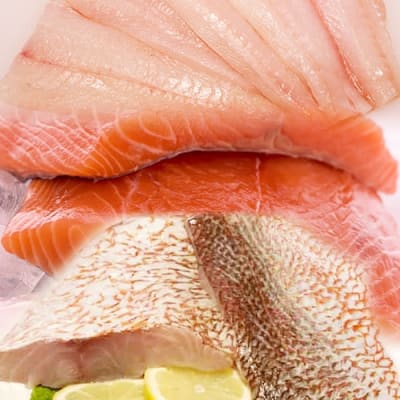 photo of Fresh Fish Sampler I