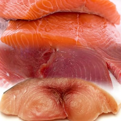 photo of Fresh Fish Sampler II