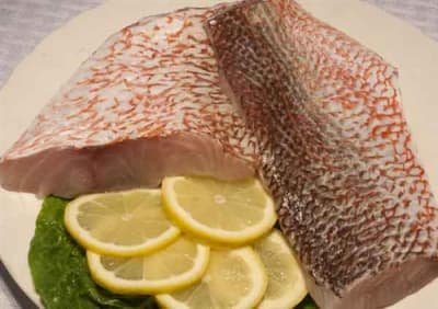 photo of Red Snapper