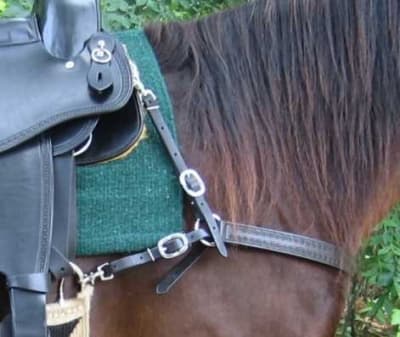 Terrain Breast Collar with Stamping