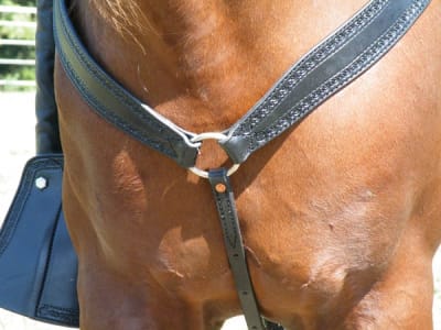 Y Breast Collar with Stamping