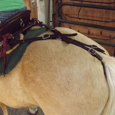 Crupper with Stamping