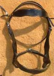 1880's Old-Timer Headstall